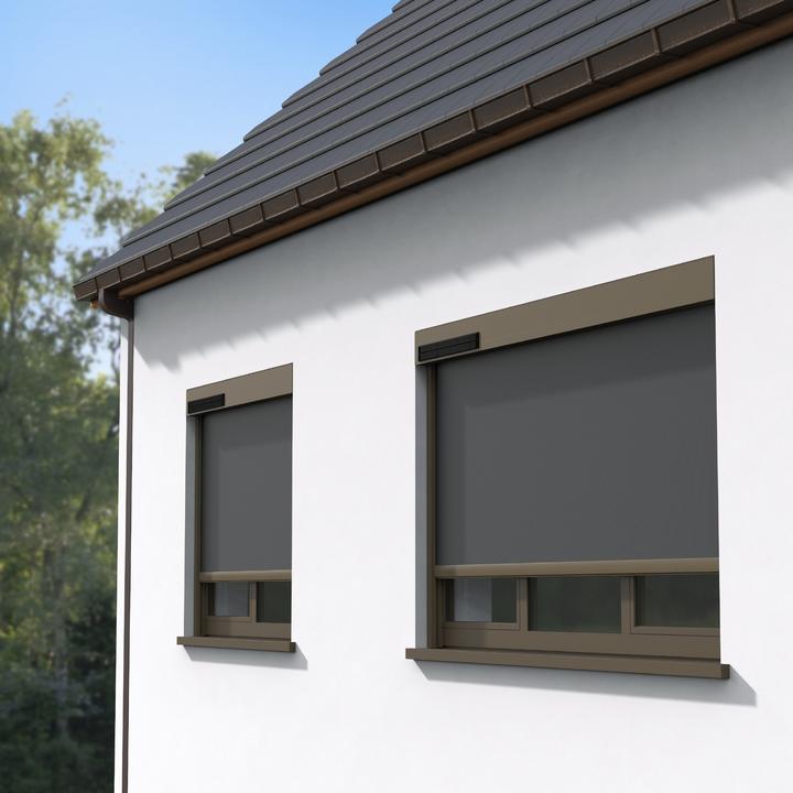 FX100EVOSOLAR